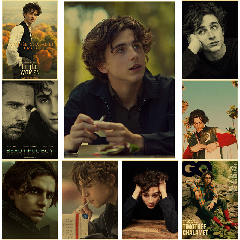 Timothee Chalamet Retro Canvas - Home Bar And Theater review and price