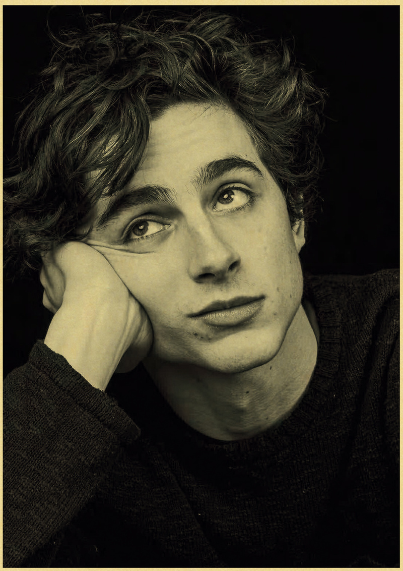 Timothee Chalamet Retro Canvas - Home Bar And Theater review and price